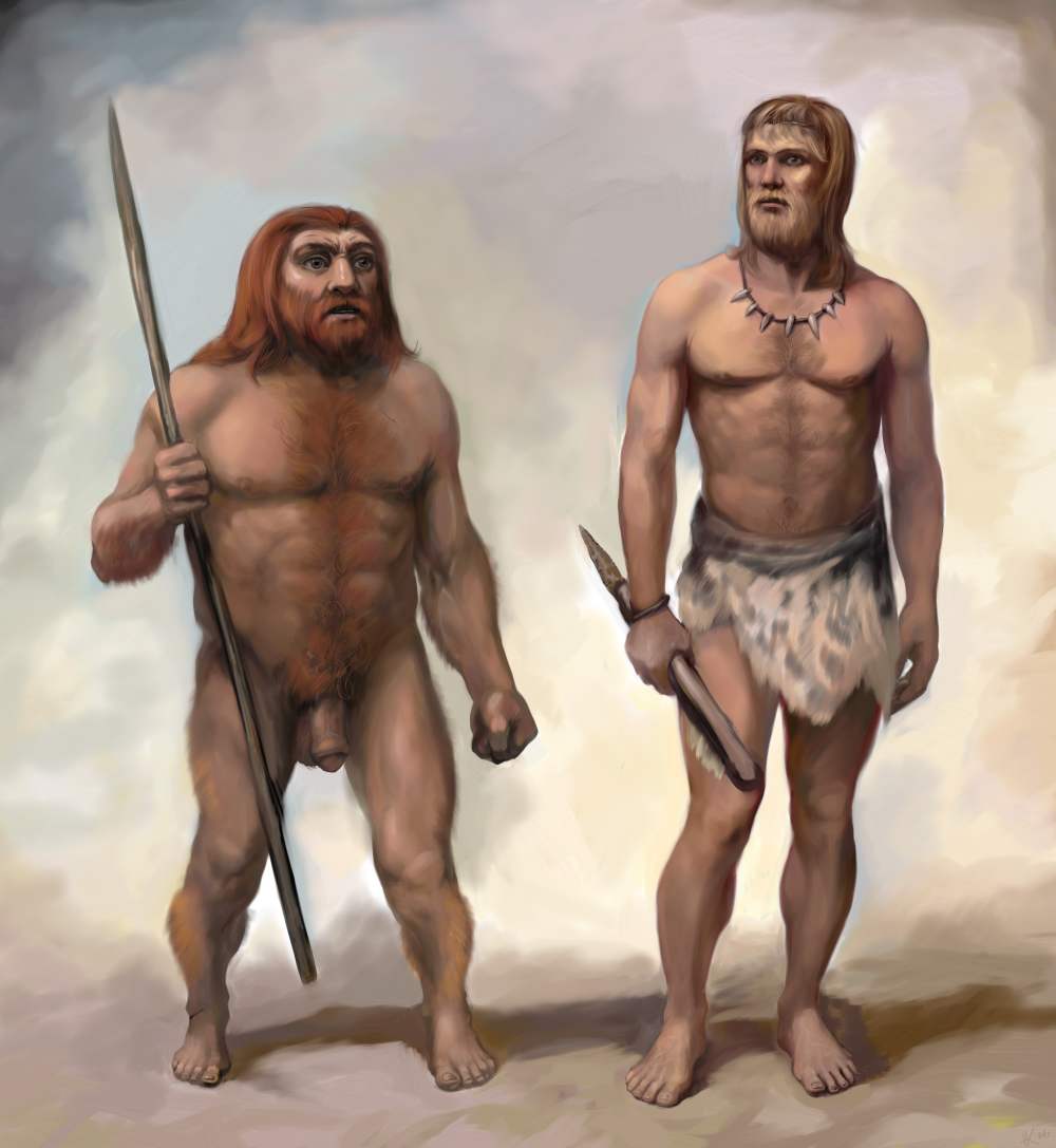 Неандертальский человек (Ното neanderthalensis)