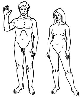 Человек разумный (Homo sapiens)